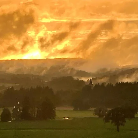 度假居 De La Vologne La Neuveville-Devant-Lepanges