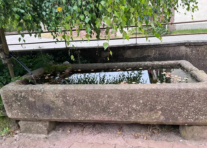 De La Vologne La Neuveville-Devant-Lepanges